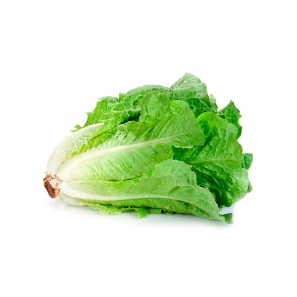 Lechuga Costina unidad